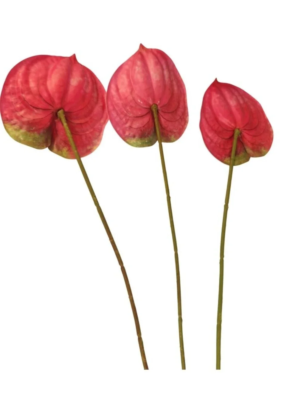 Pink Artificial Anthurium Stems Set of 3, 23 Inch Faux Modern Tropical Decor